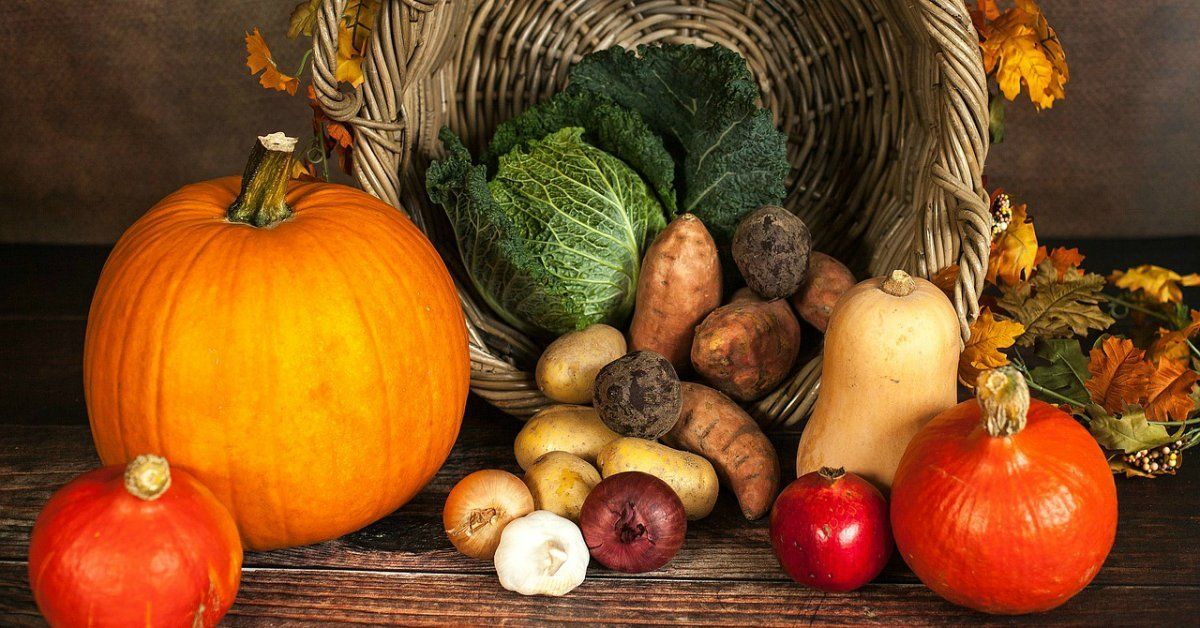 Как сохранить овощи свежими на зиму